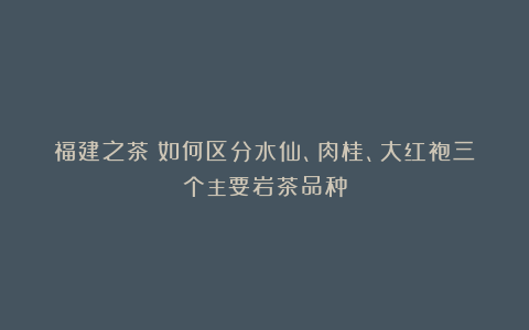 福建之茶｜如何区分水仙、肉桂、大红袍三个主要岩茶品种