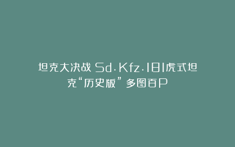 坦克大决战：Sd.Kfz.181虎式坦克“历史版”（多图百P）