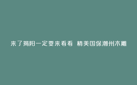 来了揭阳一定要来看看 精美国保潮州木雕
