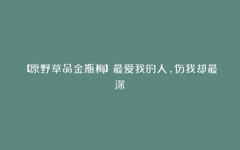 【原野草品金瓶梅】最爱我的人,伤我却最深