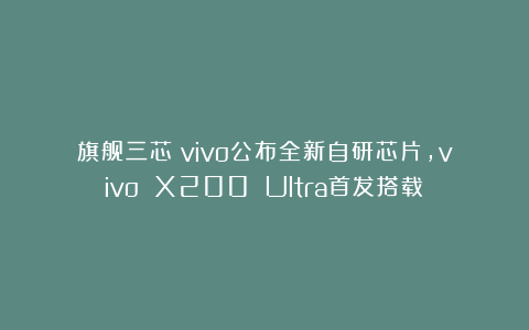旗舰三芯!vivo公布全新自研芯片,vivo X200 Ultra首发搭载