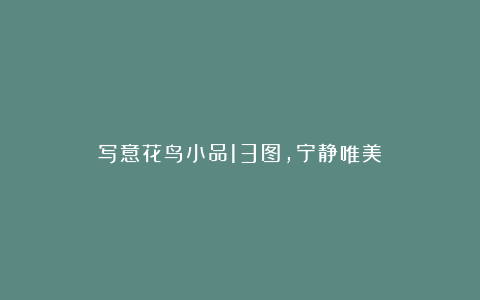写意花鸟小品13图，宁静唯美！