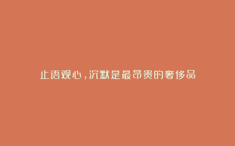 止语观心，沉默是最昂贵的奢侈品