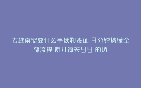 去越南需要什么手续和签证？3分钟搞懂全部流程！避开海关99%的坑！