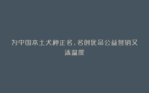 为中国本土犬种正名,名创优品公益营销又添温度