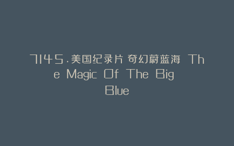 7145.美国纪录片《奇幻蔚蓝海 The Magic Of The Big Blue》