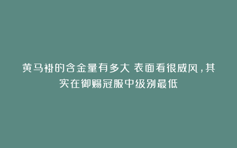 黄马褂的含金量有多大？表面看很威风，其实在御赐冠服中级别最低
