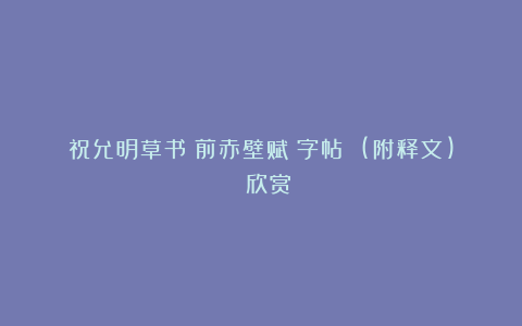祝允明草书《前赤壁赋》字帖 (附释文) 欣赏