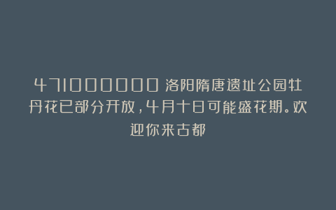 471000000：洛阳隋唐遗址公园牡丹花已部分开放，4月十日可能盛花期。欢迎你来古都！