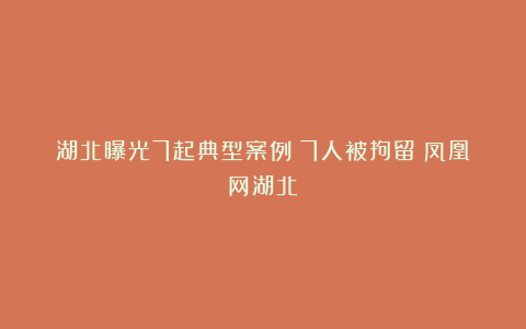 湖北曝光7起典型案例!7人被拘留!凤凰网湖北