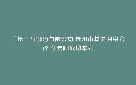 广东一方制药有限公司《耒阳市基层圆桌会议》在耒阳成功举办