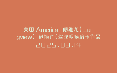 美国(America) 朗维尤(Longview) 港简介(驾驶员候培玉作品2025.03.14)