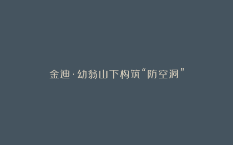 金迪·幼翁山下构筑“防空洞”