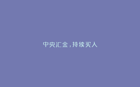 中央汇金,持续买入