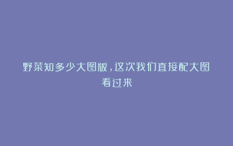野菜知多少大图版,这次我们直接配大图!看过来