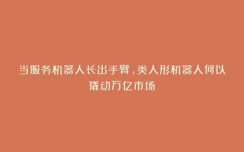 当服务机器人长出手臂,类人形机器人何以撬动万亿市场?