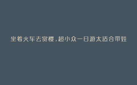 坐着火车去赏樱,超小众一日游太适合带娃!