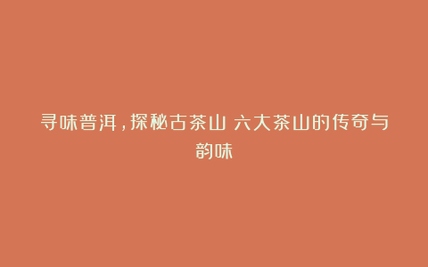寻味普洱,探秘古茶山:六大茶山的传奇与韵味