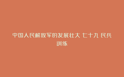 中国人民解放军的发展壮大(七十九)民兵训练