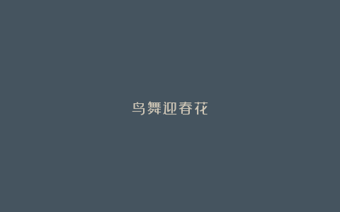 鸟舞迎春花