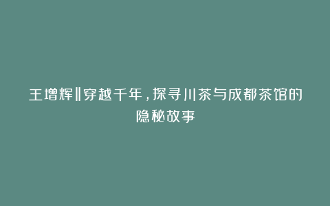 王增辉‖穿越千年，探寻川茶与成都茶馆的隐秘故事