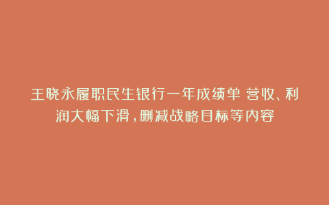 王晓永履职民生银行一年成绩单：营收、利润大幅下滑，删减战略目标等内容