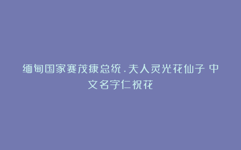 缅甸国家赛茂康总统.夫人灵光花仙子(中文名字仁祝花)