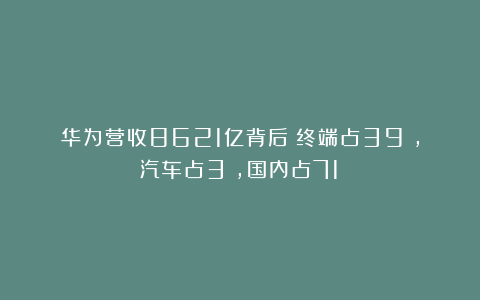 华为营收8621亿背后:终端占39%,汽车占3%,国内占71%