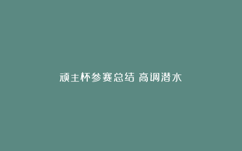顽主杯参赛总结(高调潜水)