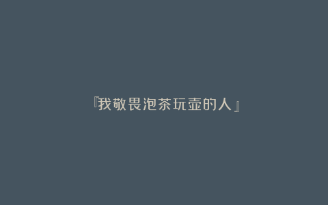 『我敬畏泡茶玩壶的人!』