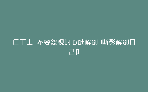 CT上，不容忽视的心脏解剖【断影解剖021】