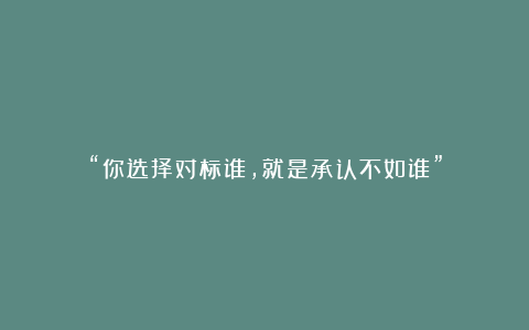 “你选择对标谁，就是承认不如谁”