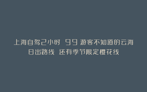上海自驾2小时 99%游客不知道的云海日出路线 还有季节限定樱花线