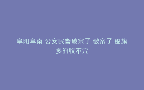 阜阳阜南:公安民警破案了!破案了!锦旗多的收不完!