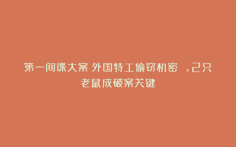 第一间谍大案:外国特工偷窃机密 ,2只老鼠成破案关键