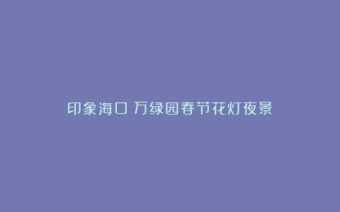 印象海口：万绿园春节花灯夜景
