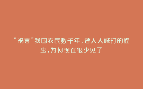 “祸害”我国农民数千年，曾人人喊打的蝗虫，为何现在很少见了？