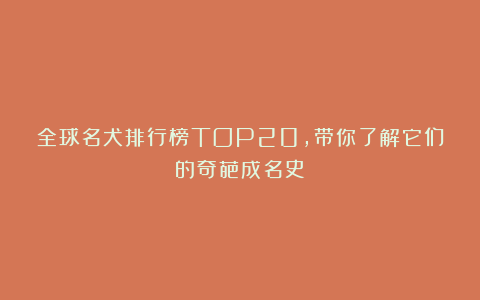 全球名犬排行榜TOP20，带你了解它们的奇葩成名史