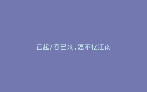 云起/春已来,怎不忆江南