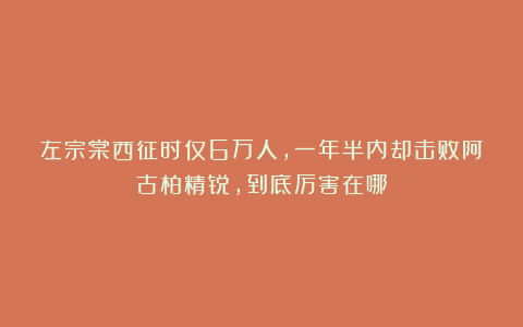 左宗棠西征时仅6万人，一年半内却击败阿古柏精锐，到底厉害在哪