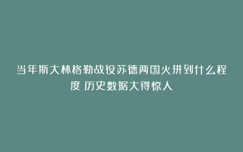 当年斯大林格勒战役苏德两国火拼到什么程度？历史数据大得惊人！