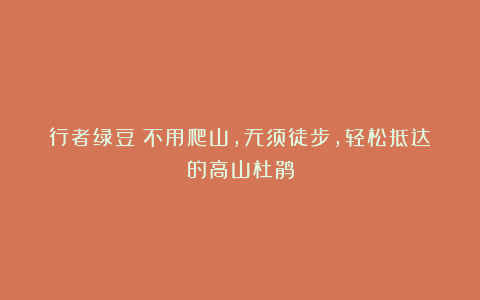 行者绿豆：不用爬山，无须徒步，轻松抵达的高山杜鹃