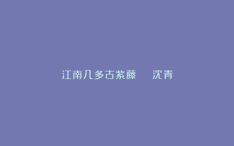 江南几多古紫藤 | 沈青