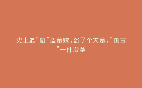 史上最“傻”盗墓贼，盗了个大墓，“国宝”一件没拿！