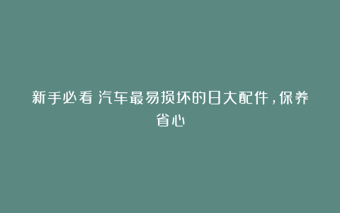 新手必看！汽车最易损坏的8大配件，保养省心