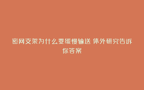 密网支架为什么要缓慢输送?体外研究告诉你答案