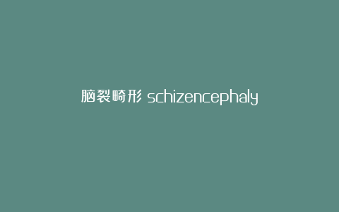 脑裂畸形（schizencephaly）
