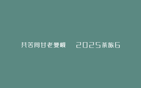 共苦同甘老曼峨 | 2025茶旅6