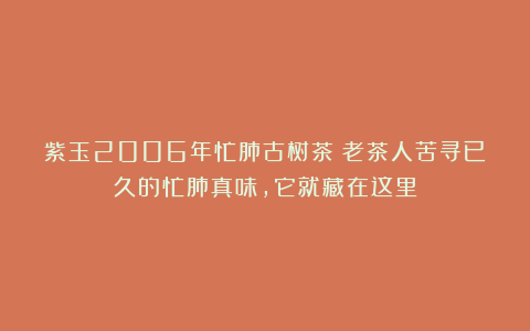 紫玉2006年忙肺古树茶：老茶人苦寻已久的忙肺真味，它就藏在这里