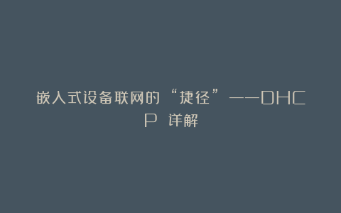 嵌入式设备联网的 “捷径” ——DHCP 详解